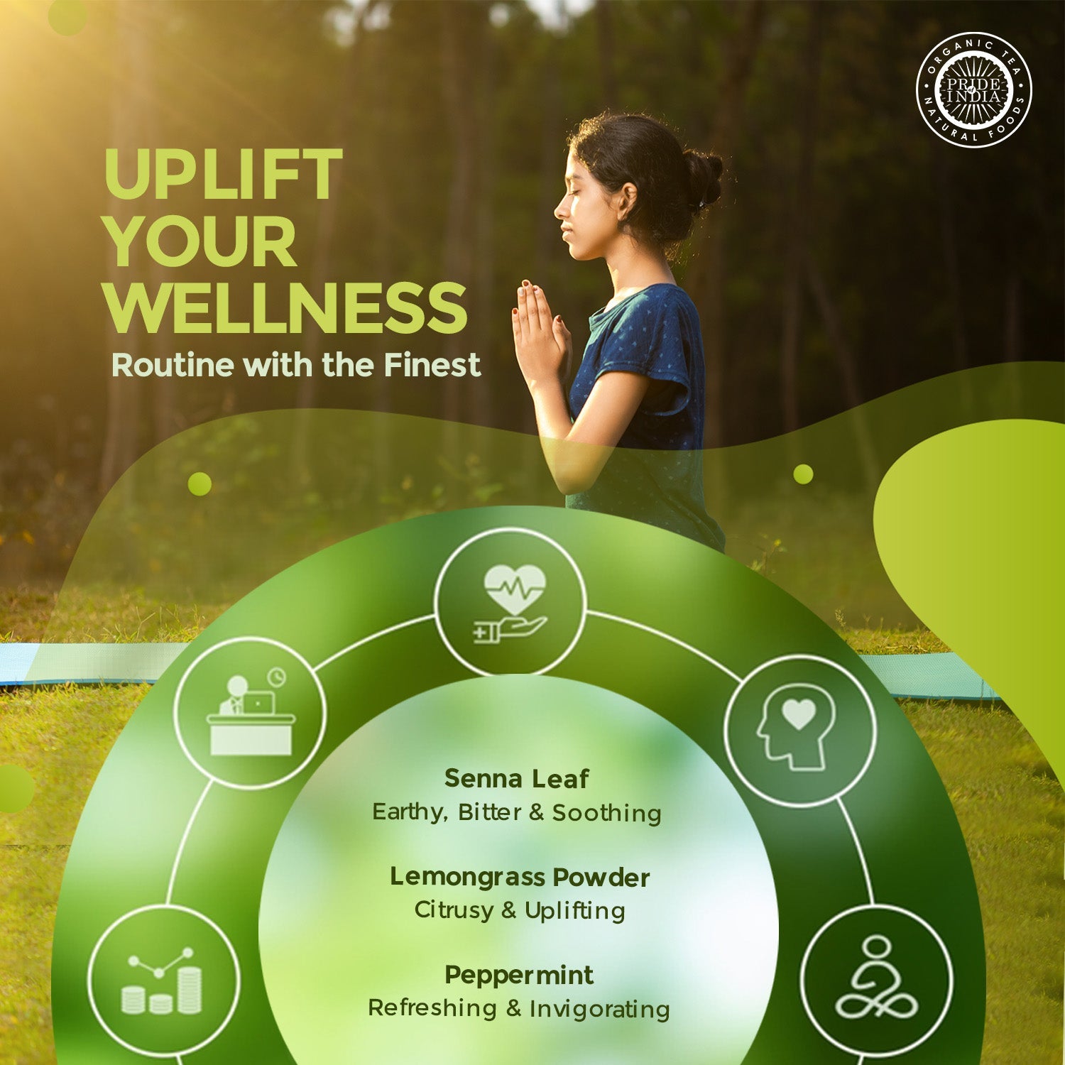 Digestive Health Trio 10.59 oz (300 gm) | Includes Mint Leaf Whole, Lemongrass Fine Cut & Senna Herbal Tea Leaf Whole | Perfect for Hot/Iced Tea, Mocktails | Promotes Inner Wellness | 3 PACK of 3.53 oz